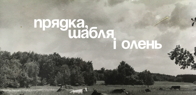 “Prialka, Shablya i Olen” (“Spinning wheel, sabre and deer”) exhibition at the Stanytsia Luhanska Local History Museum (within the “Under construction: Museum open II” project)