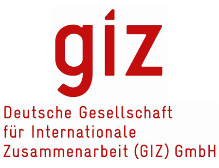 GIZ logo