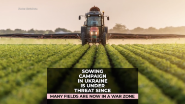 How Russian War Threatens With Global Food Crisis